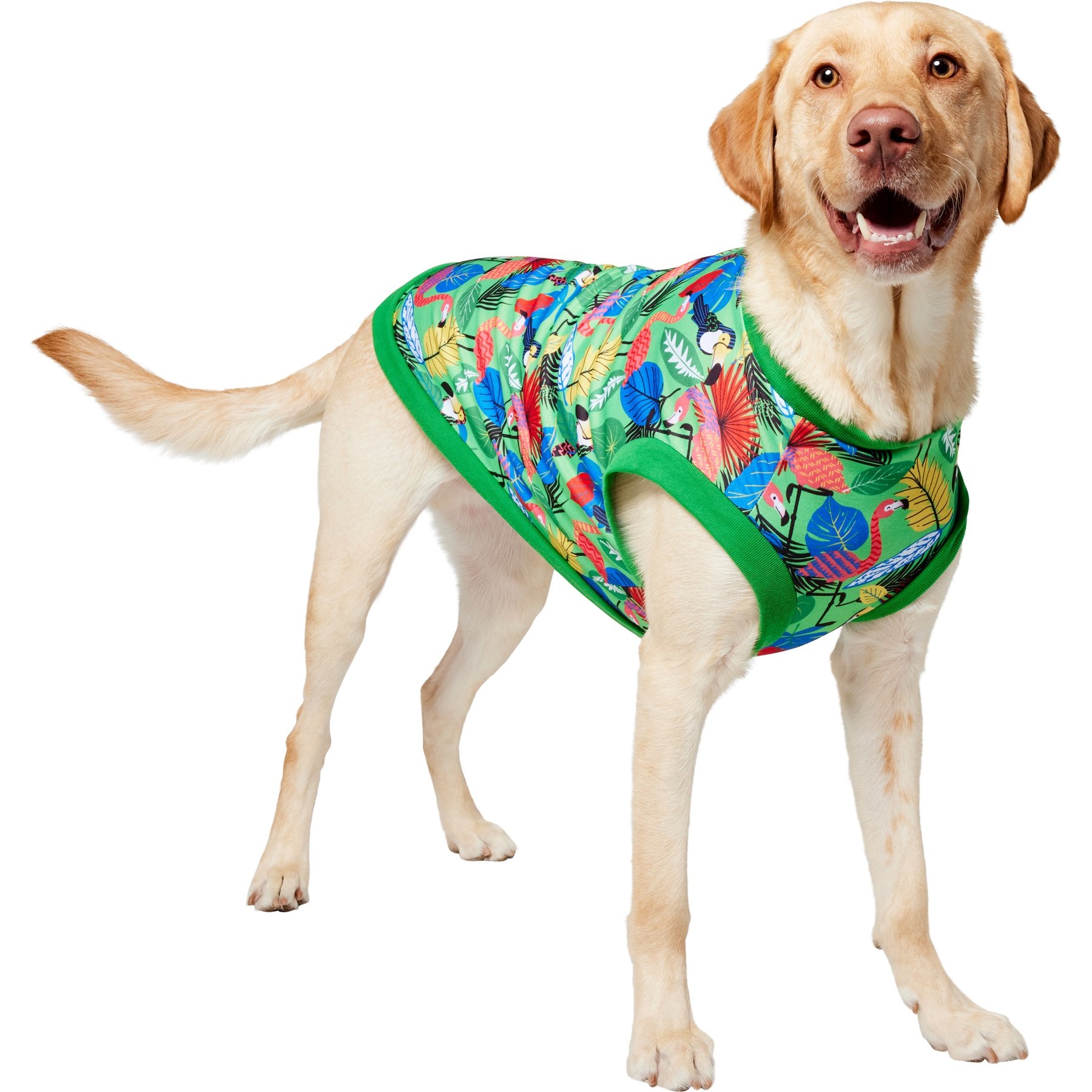 Frisco Summer Tropical Palm Leaf Toucan & Flamingo Birds Dog & Cat T-Shirt, X-Large
