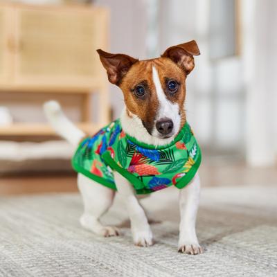 Show full view: Frisco Summer Tropical Palm Leaf Toucan & Flamingo Birds Dog & Cat T-Shirt, Small slide 7 of 11