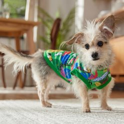 Frisco Summer Tropical Palm Leaf Toucan & Flamingo Birds Dog & Cat T-Shirt, X-Small slide 2 of 8