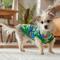 Show in main carousel: Frisco Summer Tropical Palm Leaf Toucan & Flamingo Birds Dog & Cat T-Shirt, X-Small slide 7 of 11