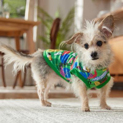 Show full view: Frisco Summer Tropical Palm Leaf Toucan & Flamingo Birds Dog & Cat T-Shirt, X-Small slide 7 of 11