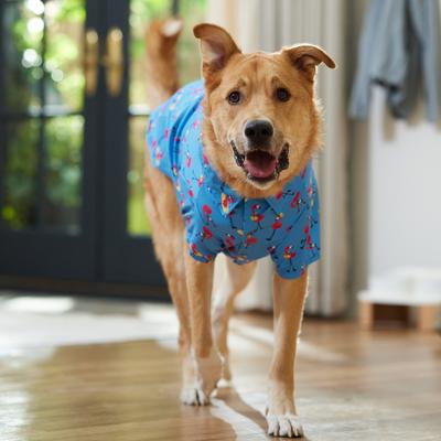 Show full view: Frisco Summer Flamingo Dog & Cat Polo Camp Shirt, XX-Large slide 7 of 11