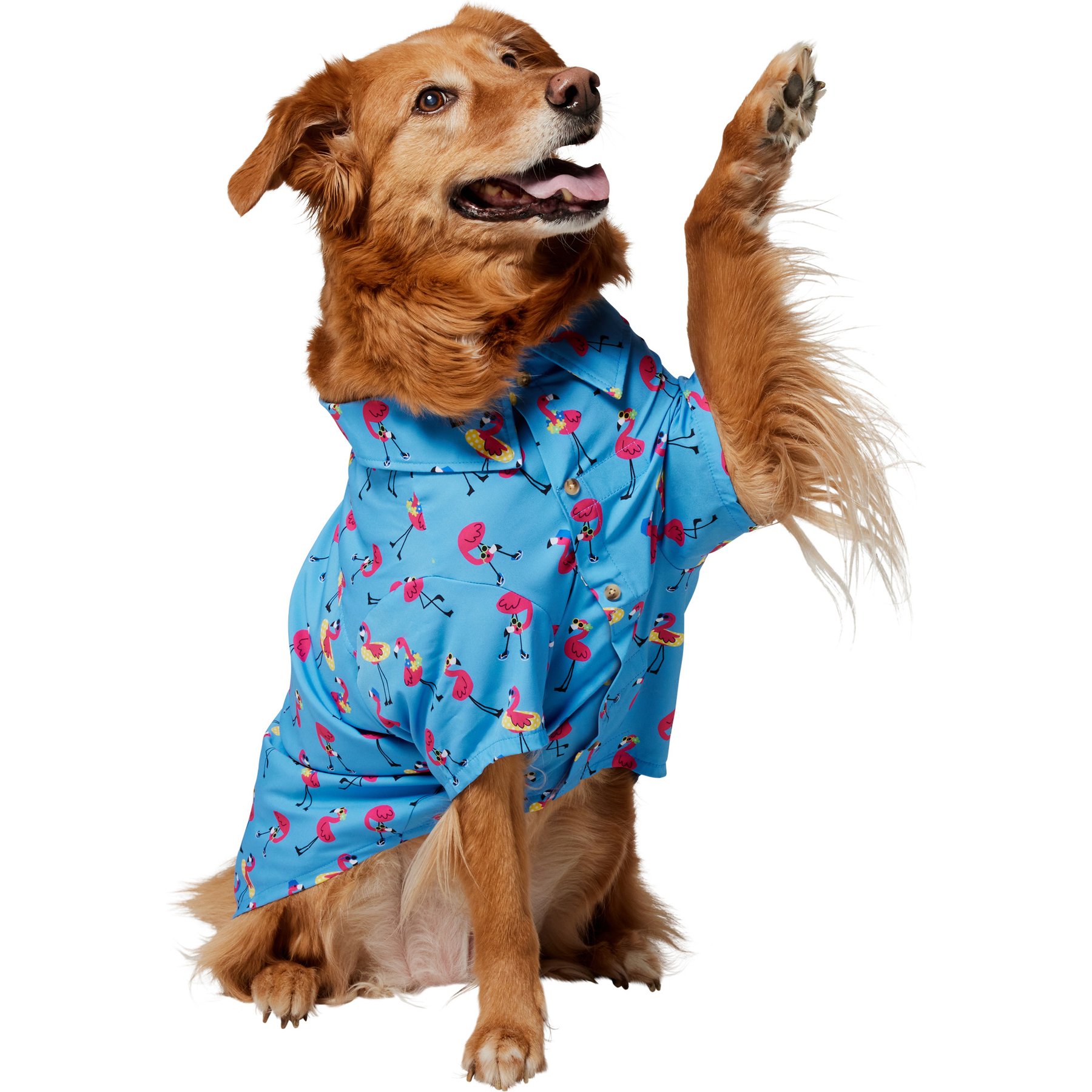 Frisco Summer Flamingo Dog & Cat Polo Camp Shirt, XX-Large