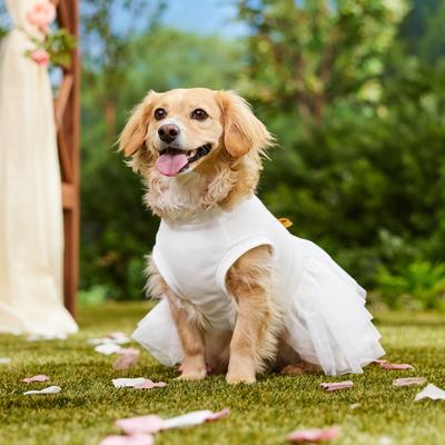 Show full view: Frisco I Do Too Dog & Cat Dress, Medium slide 8 of 12