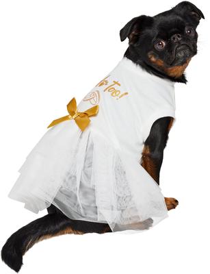 Show full view: Frisco I Do Too Dog & Cat Dress, Small slide 2 of 12