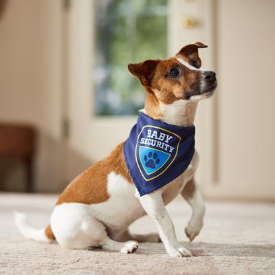 Show full view: Frisco Baby Security Dog & Cat Bandana, X-Small/Small slide 6 of 9