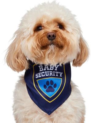 Show full view: Frisco Baby Security Dog & Cat Bandana, X-Small/Small slide 2 of 9