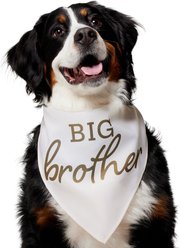 Frisco Big Brother Dog & Cat Bandana, XXX-Large slide 1 of 6