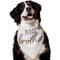 Show in main carousel: Frisco Big Brother Dog & Cat Bandana, XXX-Large slide 1 of 8
