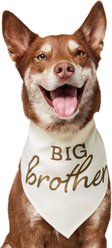 Frisco Big Brother Dog & Cat Bandana, X-Large/XX-Large