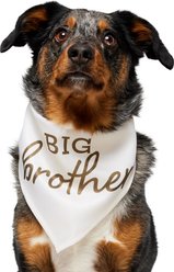 Frisco Big Brother Dog & Cat Bandana, Medium/Large