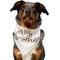 Show in main carousel: Frisco Big Brother Dog & Cat Bandana, Medium/Large slide 1 of 8