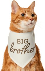 Frisco Big Brother Dog & Cat Bandana, X-Small/Small
