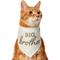Show in main carousel: Frisco Big Brother Dog & Cat Bandana, X-Small/Small slide 1 of 9