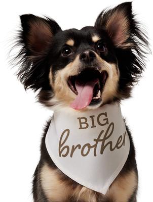 Show full view: Frisco Big Brother Dog & Cat Bandana, X-Small/Small slide 2 of 9