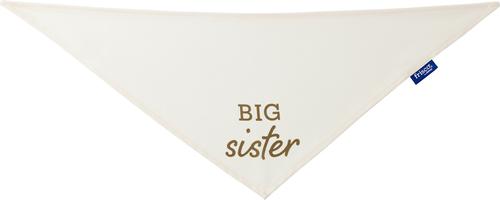 Show full view: Frisco Big Sister Dog & Cat Bandana, X-Small/Small slide 4 of 9
