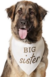 Frisco Big Sister Dog & Cat Bandana, XXX-Large
