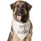 Show in main carousel: Frisco Big Sister Dog & Cat Bandana, XXX-Large slide 1 of 8