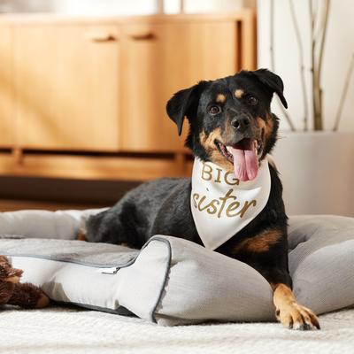 Show full view: Frisco Big Sister Dog & Cat Bandana, X-Large/XX-Large slide 5 of 8