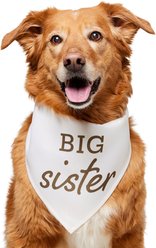 Frisco Big Sister Dog & Cat Bandana, X-Large/XX-Large