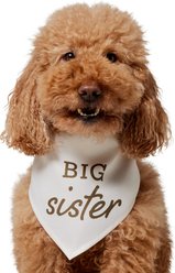 Frisco Big Sister Dog & Cat Bandana, Medium/Large