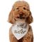 Show in main carousel: Frisco Big Sister Dog & Cat Bandana, Medium/Large slide 1 of 8