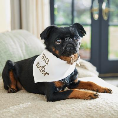 Show full view: Frisco Big Sister Dog & Cat Bandana, X-Small/Small slide 6 of 9