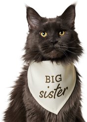 Frisco Big Sister Dog & Cat Bandana, X-Small/Small slide 1 of 7