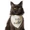 Show in main carousel: Frisco Big Sister Dog & Cat Bandana, X-Small/Small slide 1 of 9