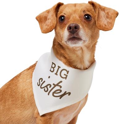 Show full view: Frisco Big Sister Dog & Cat Bandana, X-Small/Small slide 2 of 9