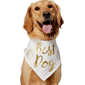 Frisco Medium Weight Faux Leather Dog & Cat Parka with Faux Fur Trimmed Hood, Black