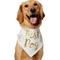 Show in main carousel: Frisco Best Dog Dog Bandana, X-Large/XX-Large slide 1 of 9