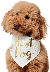 Frisco Best Dog Dog Bandana, Medium/Large