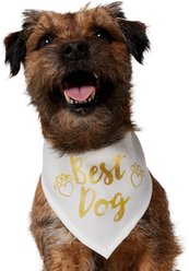 Frisco Best Dog Dog Bandana, X-Small/Small