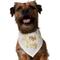 Show in main carousel: Frisco Best Dog Dog Bandana, X-Small/Small slide 1 of 9