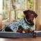 Show in main carousel: Frisco Summer Watermelon Print Dog & Cat Jersey PJs, XX-Large slide 6 of 10
