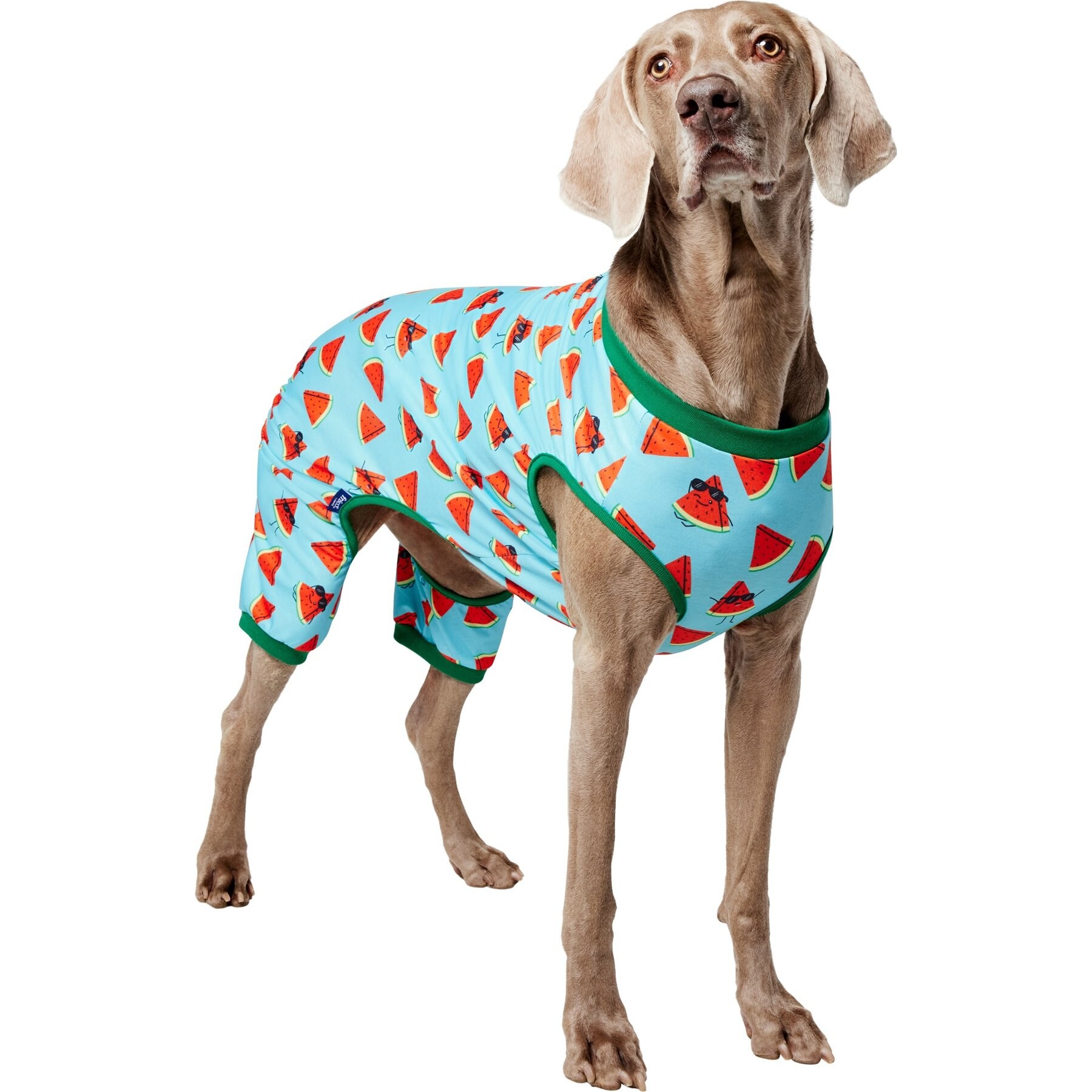 Frisco Summer Watermelon Print Dog & Cat Jersey PJs, XX-Large