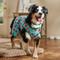 Show in main carousel: Frisco Summer Watermelon Print Dog & Cat Jersey PJs, X-Large slide 6 of 10