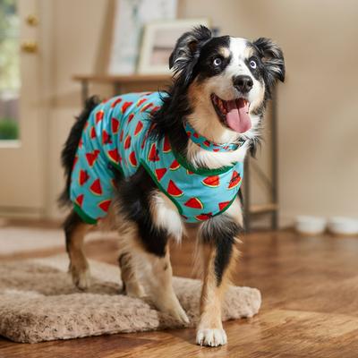 Show full view: Frisco Summer Watermelon Print Dog & Cat Jersey PJs, X-Large slide 6 of 10