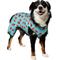 Show in main carousel: Frisco Summer Watermelon Print Dog & Cat Jersey PJs, X-Large slide 1 of 10