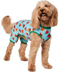 Frisco Summer Watermelon Print Dog & Cat Jersey Pajamas, Large slide 1 of 7