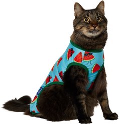 Frisco Summer Watermelon Print Dog & Cat Jersey PJs, X-Small