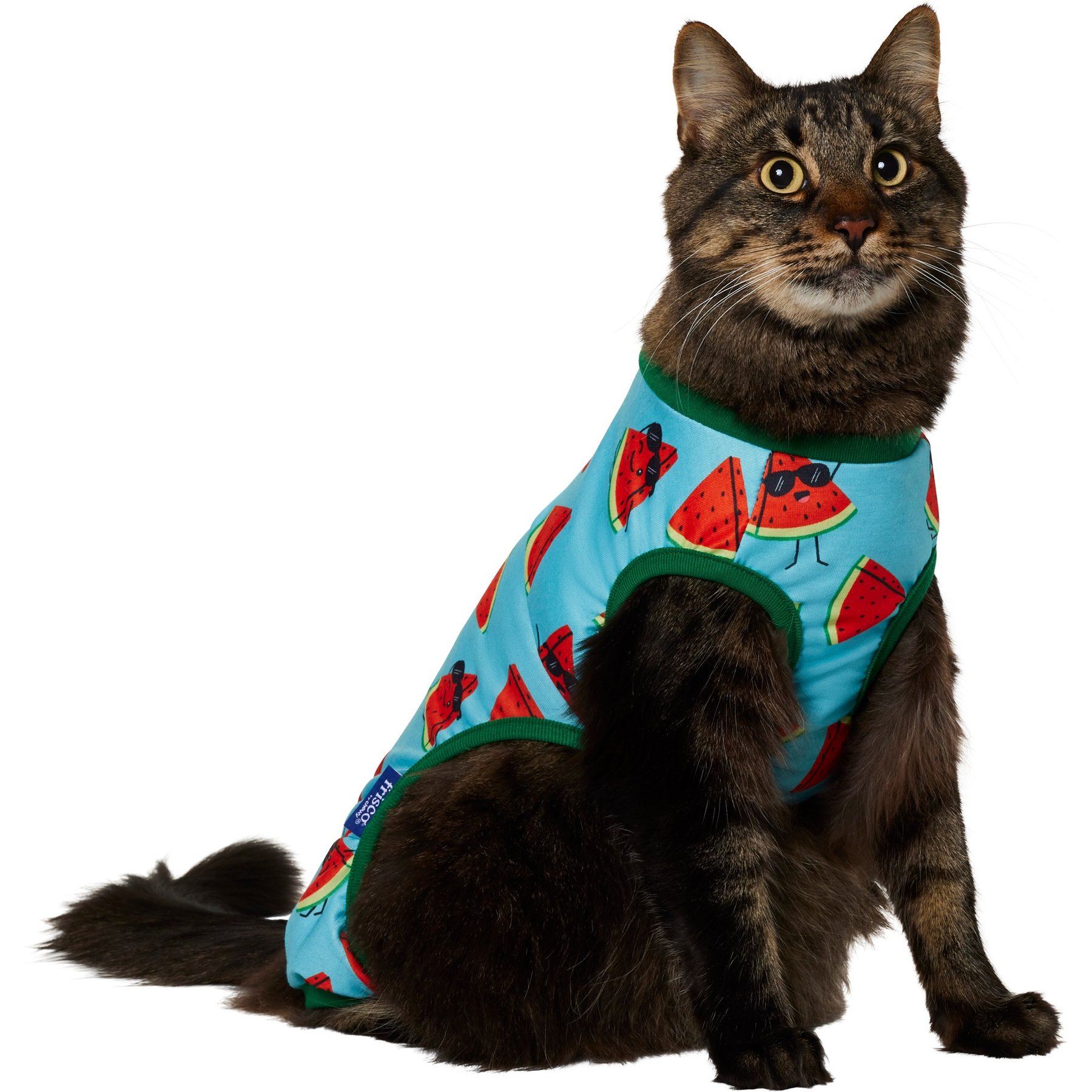 Frisco Summer Watermelon Print Dog & Cat Jersey Pajamas, Small