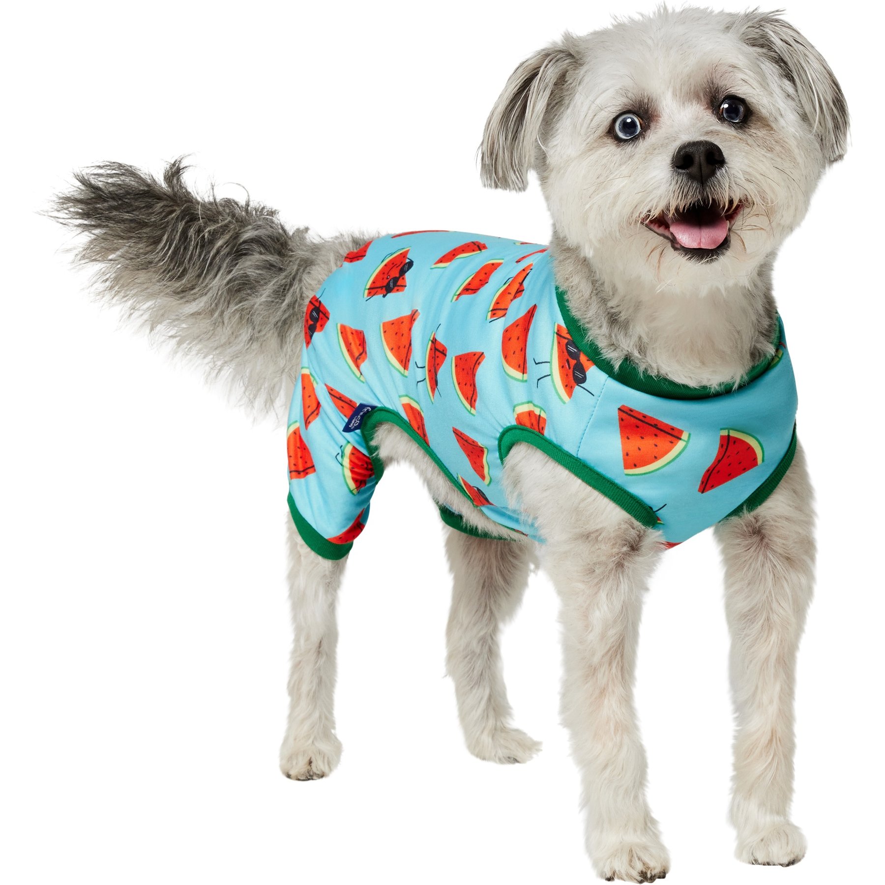 Frisco Summer Watermelon Print Dog & Cat Jersey Pajamas, Medium
