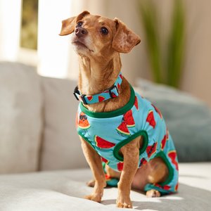 Frisco Summer Watermelon Print Dog & Cat Jersey Pajamas, Small