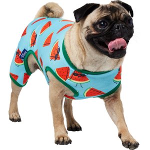 Frisco Summer Watermelon Print Dog & Cat Jersey Pajamas, Small