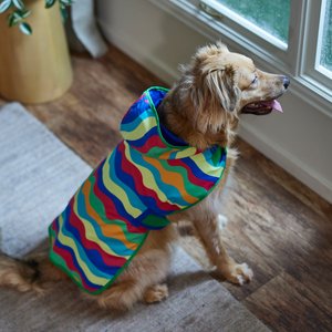 Frisco Tropical Wave Stripe & Blue Packable Reversible Dog & Cat Raincoat, Blue, X-Large