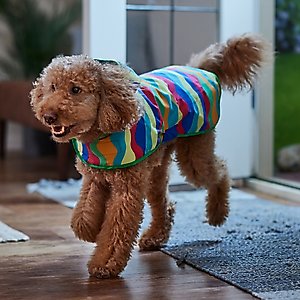 Frisco Summer Tropical Wave Stripe Reversible Packable Dog & Cat Raincoat, Large