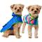 Show in main carousel: Frisco Tropical Wave Stripe & Blue Packable Reversible Dog Raincoat, Blue, X-Small slide 1 of 11