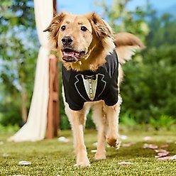 Frisco Tuxedo Dog & Cat T-Shirt, X-Large slide 2 of 7